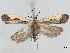  ( - BIOUG71202-A02)  @11 [ ] CreativeCommons - Attribution (2021) CBG Photography Group Centre for Biodiversity Genomics