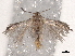  ( - BIOUG74608-F10)  @11 [ ] CreativeCommons - Attribution (2021) CBG Photography Group Centre for Biodiversity Genomics