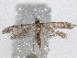  ( - BIOUG74608-H06)  @11 [ ] CreativeCommons - Attribution (2021) CBG Photography Group Centre for Biodiversity Genomics