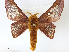  ( - BIOUG89938-F11)  @11 [ ] CreativeCommons - Attribution Share-Alike (2023) CBG Photography Group Centre for Biodiversity Genomics