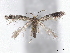  ( - BIOUG89965-C05)  @11 [ ] CreativeCommons - Attribution (2022) CBG Photography Group Centre for Biodiversity Genomics