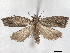  ( - BIOUG89965-E12)  @11 [ ] CreativeCommons - Attribution (2022) CBG Photography Group Centre for Biodiversity Genomics