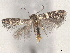  ( - BIOUG89965-F12)  @11 [ ] CreativeCommons - Attribution (2022) CBG Photography Group Centre for Biodiversity Genomics