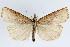  ( - KS0152)  @14 [ ] Unspecified (default): All Rights Reserved  Unspecified Unspecified
