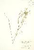  ( - KSR 009)  @11 [ ] Unspecified (default): All Rights Reserved  Unspecified Unspecified