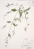  ( - KSRB 001)  @11 [ ] Unspecified (default): All Rights Reserved  Unspecified Unspecified