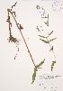  ( - KSRB 016)  @11 [ ] Unspecified (default): All Rights Reserved  Unspecified Unspecified