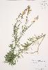  ( - AP241)  @11 [ ] Unspecified (default): All Rights Reserved  Unspecified Unspecified