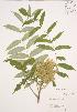  ( - AP184)  @11 [ ] Unspecified (default): All Rights Reserved  Unspecified Unspecified