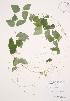  ( - AP290)  @11 [ ] Unspecified (default): All Rights Reserved  Unspecified Unspecified
