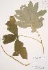  ( - AP291)  @11 [ ] Unspecified (default): All Rights Reserved  Unspecified Unspecified