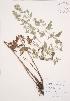  ( - AP215)  @11 [ ] Unspecified (default): All Rights Reserved  Unspecified Unspecified