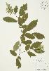  ( - AP266)  @11 [ ] Unspecified (default): All Rights Reserved  Unspecified Unspecified