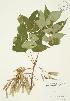  ( - AP270)  @11 [ ] Unspecified (default): All Rights Reserved  Unspecified Unspecified