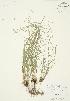  ( - AP274)  @11 [ ] Unspecified (default): All Rights Reserved  Unspecified Unspecified