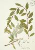  ( - AP362)  @11 [ ] Unspecified (default): All Rights Reserved  Unspecified Unspecified