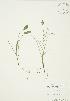  ( - AP372)  @11 [ ] Unspecified (default): All Rights Reserved  Unspecified Unspecified