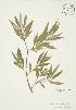 ( - AP375)  @11 [ ] Unspecified (default): All Rights Reserved  Unspecified Unspecified