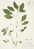  ( - AP207)  @11 [ ] Unspecified (default): All Rights Reserved  Unspecified Unspecified