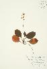  ( - AP161)  @11 [ ] Unspecified (default): All Rights Reserved  Unspecified Unspecified