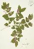 ( - AP031)  @11 [ ] Unspecified (default): All Rights Reserved  Unspecified Unspecified