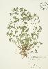  ( - AP047)  @11 [ ] Unspecified (default): All Rights Reserved  Unspecified Unspecified