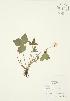  ( - AP003)  @11 [ ] Unspecified (default): All Rights Reserved  Unspecified Unspecified