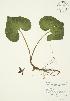  ( - AP009)  @11 [ ] Unspecified (default): All Rights Reserved  Unspecified Unspecified