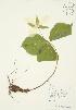  ( - AP010)  @11 [ ] Unspecified (default): All Rights Reserved  Unspecified Unspecified