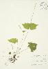  ( - AP017)  @11 [ ] Unspecified (default): All Rights Reserved  Unspecified Unspecified