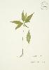  ( - AP050)  @11 [ ] Unspecified (default): All Rights Reserved  Unspecified Unspecified
