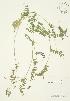  ( - AP107)  @11 [ ] Unspecified (default): All Rights Reserved  Unspecified Unspecified