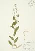  ( - AP111)  @11 [ ] Unspecified (default): All Rights Reserved  Unspecified Unspecified