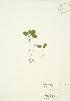 ( - AP117)  @11 [ ] Unspecified (default): All Rights Reserved  Unspecified Unspecified