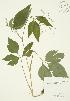  ( - AP133)  @11 [ ] Unspecified (default): All Rights Reserved  Unspecified Unspecified