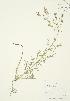  ( - AP149)  @11 [ ] Unspecified (default): All Rights Reserved  Unspecified Unspecified