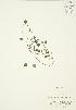  ( - AP166)  @11 [ ] Unspecified (default): All Rights Reserved  Unspecified Unspecified