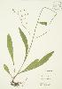  ( - AP186)  @11 [ ] Unspecified (default): All Rights Reserved  Unspecified Unspecified
