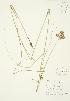  ( - AP306)  @11 [ ] Unspecified (default): All Rights Reserved  Unspecified Unspecified