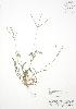  ( - AP477)  @11 [ ] Unspecified (default): All Rights Reserved  Unspecified Unspecified