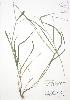  ( - AP481)  @11 [ ] Unspecified (default): All Rights Reserved  Unspecified Unspecified