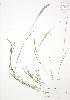  ( - AP490)  @11 [ ] Unspecified (default): All Rights Reserved  Unspecified Unspecified