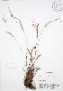  ( - AP206)  @11 [ ] Unspecified (default): All Rights Reserved  Unspecified Unspecified