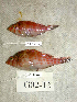  ( - KUT 4047)  @12 [ ] Unspecified (default): All Rights Reserved  University of Kansas Biodiversity Institute (KUBI) Unspecified