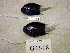  ( - KUT 4286)  @12 [ ] Unspecified (default): All Rights Reserved  University of Kansas Biodiversity Institute (KUBI) Unspecified