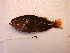  ( - KUT 5561)  @11 [ ] Unspecified (default): All Rights Reserved  University of Kansas Biodiversity Institute (KUBI) Unspecified