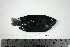  ( - KUT 6762)  @13 [ ] Unspecified (default): All Rights Reserved  University of Kansas Biodiversity Institute (KUBI) Unspecified