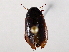  ( - BIOUG56895-G03)  @11 [ ] CreativeCommons - Attribution (2021) CBG Photography Group Centre for Biodiversity Genomics