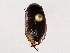  ( - BIOUG56895-G07)  @11 [ ] CreativeCommons - Attribution (2021) CBG Photography Group Centre for Biodiversity Genomics