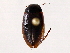 ( - BIOUG56895-G08)  @11 [ ] CreativeCommons - Attribution (2021) CBG Photography Group Centre for Biodiversity Genomics